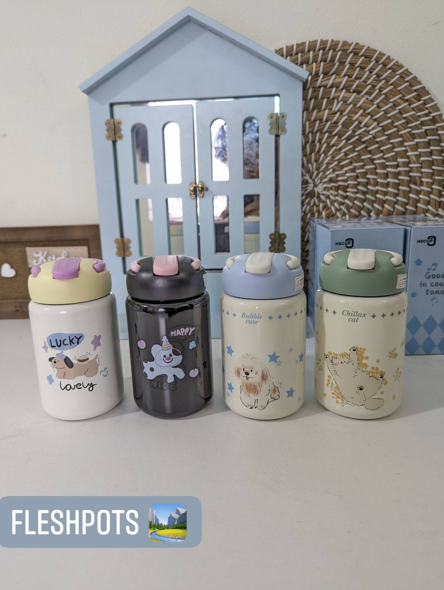 Wireless Mini Food Chopper